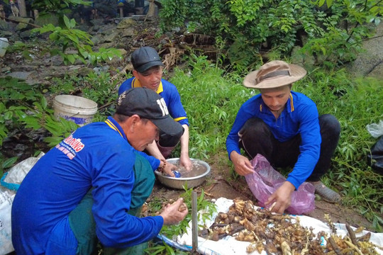 Mùa mưa, lên non hái "lộc trời"