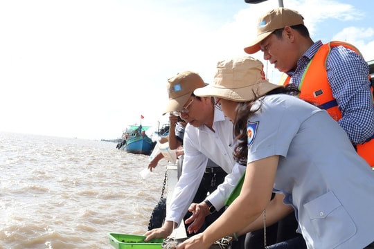 Sóc Trăng: Tổ chức thả giống tái tạo nguồn thủy sản