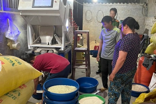 Thực hư đặc sản gạo ‘Séng cù xanh’ ẩn tàng nguy cơ mất an toàn thực phẩm