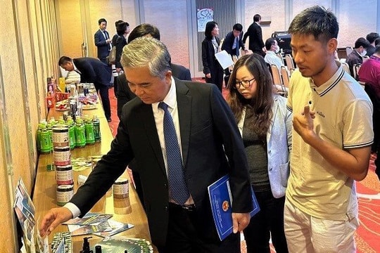 Tiềm năng hợp tác giữa TPHCM với tỉnh Aichi - Nhật Bản là rất lớn