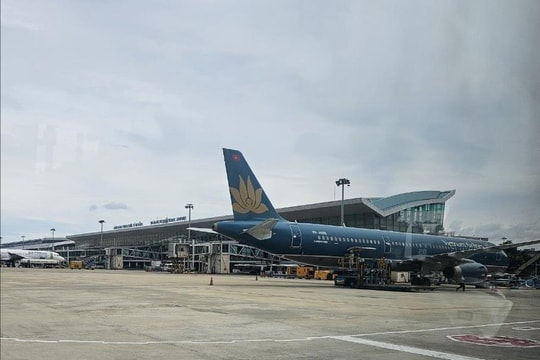 Chuyến bay Hà Nội- Đà Nẵng hạ cánh chậm 19 phút do động vật chạy vào sân bay