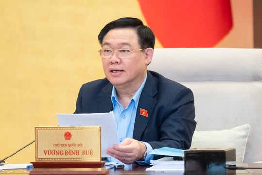 Xử lý nghiêm việc bỏ cọc đấu giá kho số viễn thông
