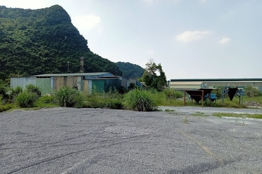 Chưa bồi thường đã thu hồi và giao đất cho doanh nghiệp khác
