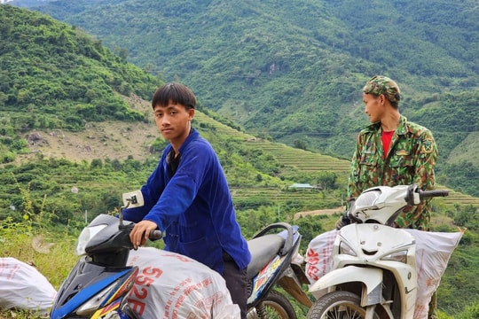Sắn được mùa, người dân vùng biên Mường Lát ước thu hơn 100 tỷ đồng
