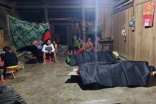 3 người bị cây ngã đè tử vong trong khi đi rừng