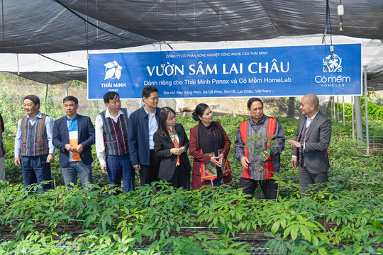 Thủ tướng Phạm Minh Chính thăm mô hình trồng sâm Lai Châu của Dược phẩm Thái Minh