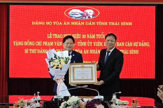 Đảng ủy TAND tỉnh Thái Bình trao Huy hiệu 30 năm tuổi Đảng