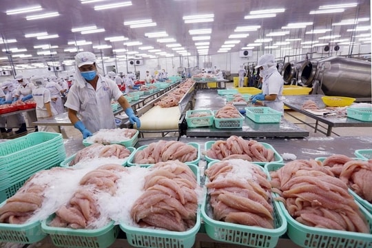 Gói tín dụng 15.000 tỷ đồng đã giải ngân 60% cho lĩnh vực thủy sản