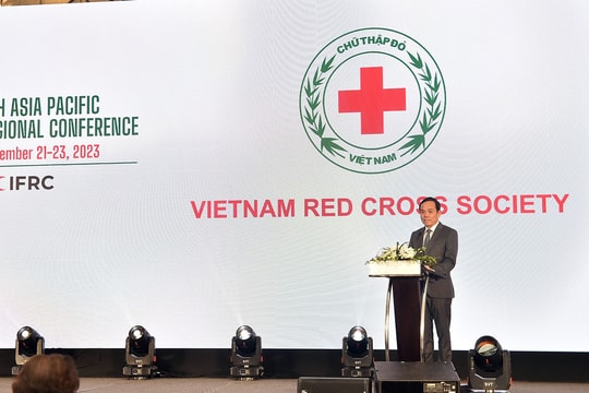 Việt Nam đề xuất giải pháp nâng cao hiệu quả sứ mệnh nhân đạo quốc tế