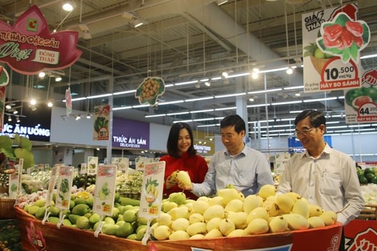 Hội chợ Đặc sản Vùng miền: Quy tụ nhiều đặc sản Việt