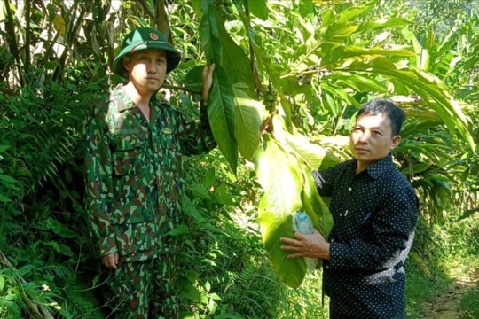 Đa dạng hóa sinh kế để giảm nghèo bền vững cho người dân vùng cao xứ Nghệ