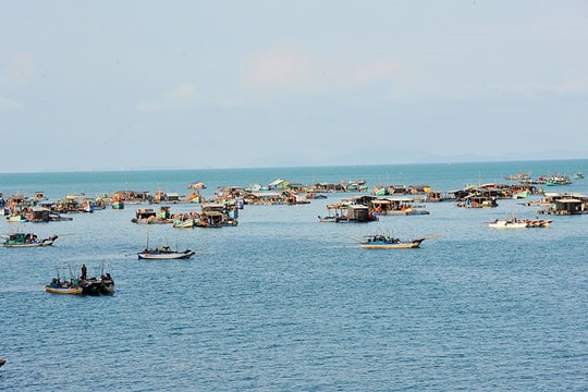Na Uy và Kiên Giang tìm kiếm cơ hội hợp tác phát triển nghề nuôi biển