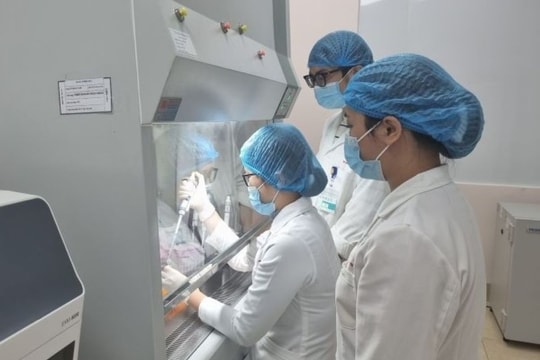 Ứng dụng xét nghiệm sinh học phân tử phát hiện đột biến gen trong điều trị ung thư