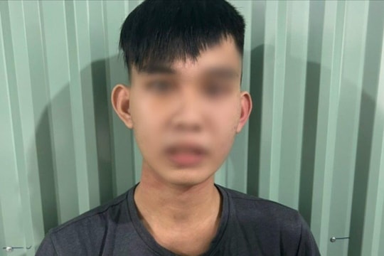 Bắt đối tượng thực hiện hàng loạt vụ trộm cắp tài sản