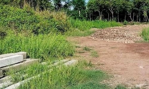 Cà Mau: Thu hồi đất cấp cho dự án nhà máy điện rác