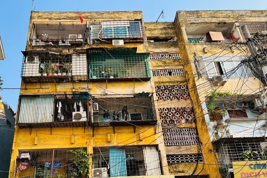 Hải Phòng: Trong tháng 12/2023 phải tháo dỡ xong lồng sắt, chuồng cọp