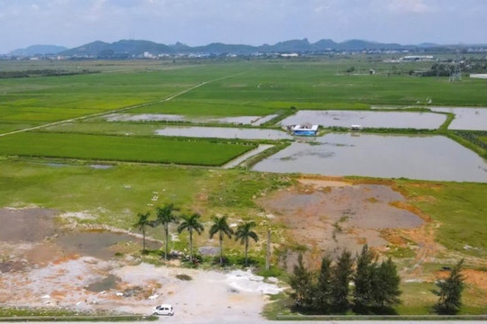 Xem xét thu hồi khu công nghiệp gần 300ha của FLC