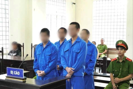 Nhóm trai làng rủ nhau đi trộm dây cáp điện