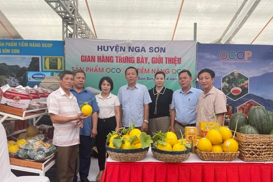 Huy động nguồn lực xây dựng nông thôn mới nâng cao, kiểu mẫu ở Nga Sơn