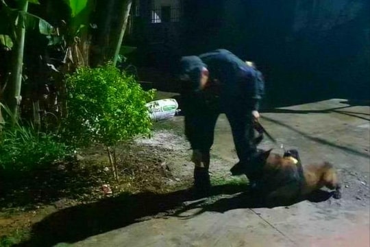 Nghệ An: Sử dụng chó nghiệp vụ tham gia tìm kiếm bé trai mất tích