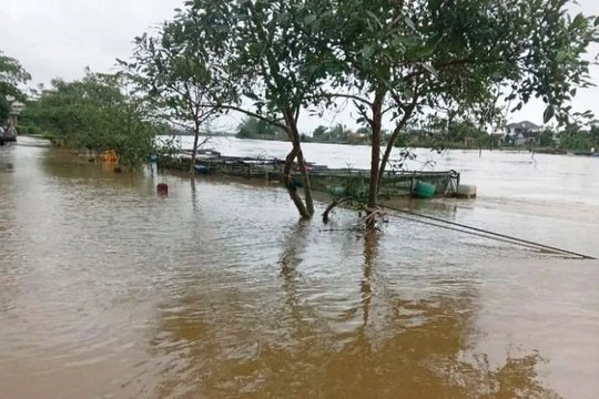 Thừa Thiên Huế: Lũ trên các sông lên nhanh, nhiều nơi bị ngập nặng
