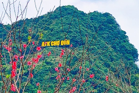Quy hoạch bảo quản, phục hồi Di tích quốc gia đặc biệt An toàn khu Chợ Đồn