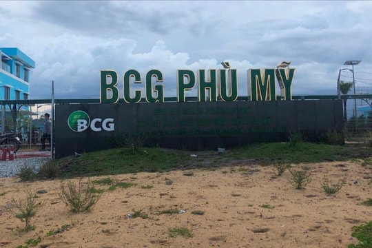 Nguyên Giám đốc Ban quản lý rừng phòng hộ huyện Phù Mỹ nhận 1,2 tỷ đồng của doanh nghiệp