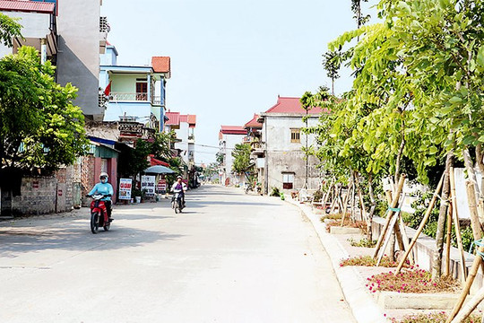 Công nhận huyện Mỹ Đức (Hà Nội) đạt chuẩn nông thôn mới