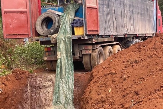 Gia Lai: Phát hiện xe đầu kéo chứa 5,5 tấn cá tầm nhập lậu qua biên giới