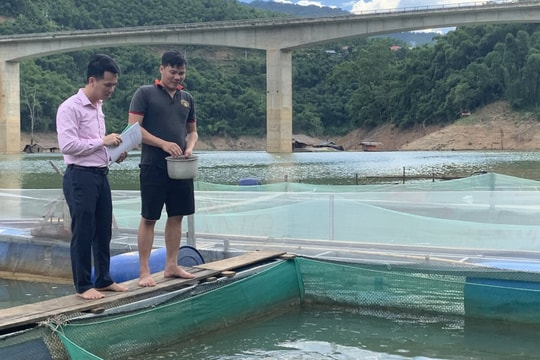 Người dân tăng thu nhập từ việc sử dụng hiệu quả nguồn vốn tín dụng chính sách