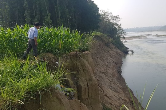 Người dân lo sợ vì sạt lở nghiêm trọng dọc bờ sông Chu