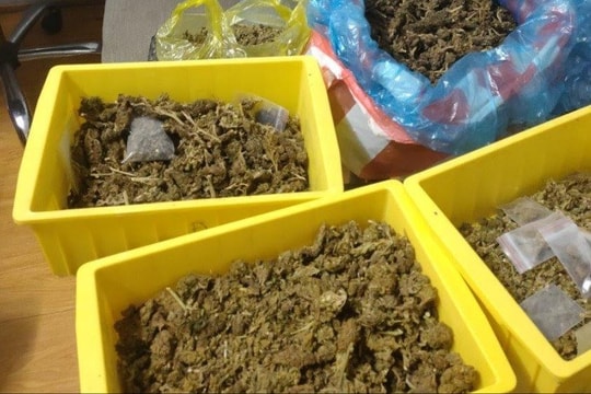 Lên mạng đặt mua cần sa về bán lại kiếm lời
