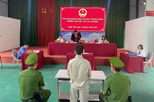 Phía sau những bản án vi phạm an toàn giao thông