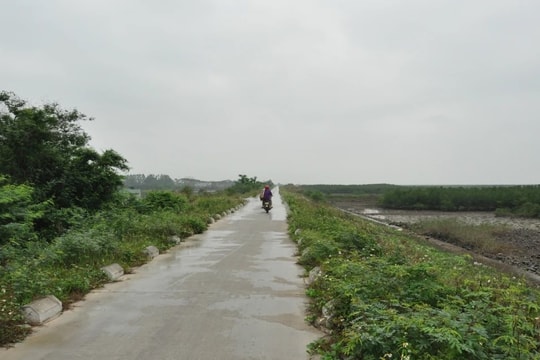 Chủ bến bãi vật liệu xây dựng trái phép tấn công nhà báo ở Quảng Ninh