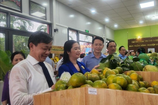 Bình Định: Khánh thành Trung tâm trưng bày, giới thiệu sản phẩm nông nghiệp chủ lực huyện Hoài Ân