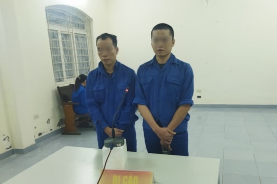 Mua ma túy về sử dụng, 2 đối tượng cùng lĩnh án