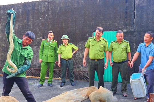 Bàn giao nhiều cá thể động vật quý hiếm cho Vườn Quốc gia Vũ Quang