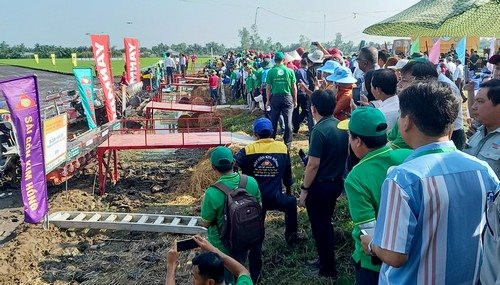 Phát động sản xuất 1 triệu ha lúa chất lượng cao