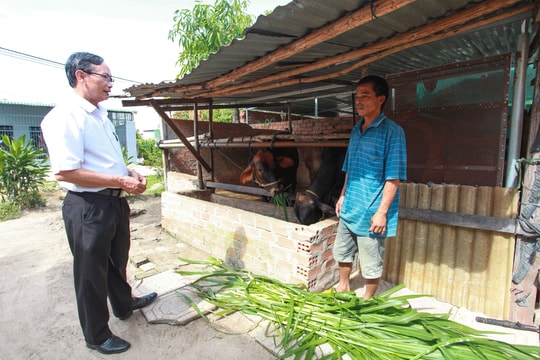 Đầu tư tín dụng phát triển vùng đồng bào dân tộc thiểu số