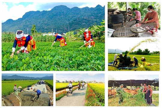 Giám sát chuyên đề về triển khai thực hiện các chương trình mục tiêu quốc gia