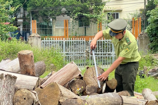 Cao Bằng xử lý nhiều vụ vi phạm về lâm nghiệp