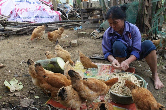 Những nguồn vốn vay mang đầy tính nhân văn