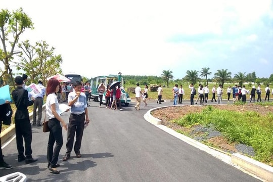 Dự báo đất nền năm 2024 vẫn được nhà đầu tư săn đón
