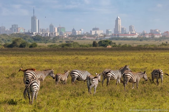 Kenya bãi bỏ thị thực cho tất cả du khách