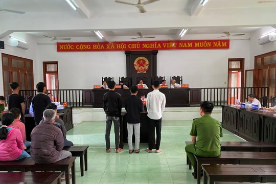 Đi xem đánh nhau, nhóm thanh thiếu niên lĩnh án