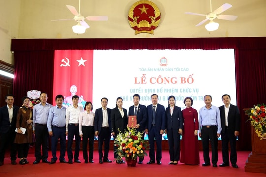 Bổ nhiệm Phó Vụ trưởng Vụ Giám đốc kiểm tra I TANDTC