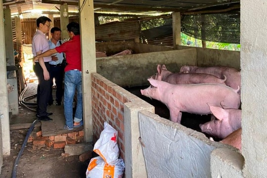NHCSXH tỉnh Đắk Lắk triển khai kịp thời Nghị quyết 181