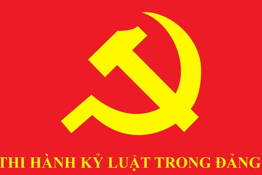 Bộ Chính trị, Ban Bí thư xem xét, thi hành kỷ luật tổ chức đảng, đảng viên