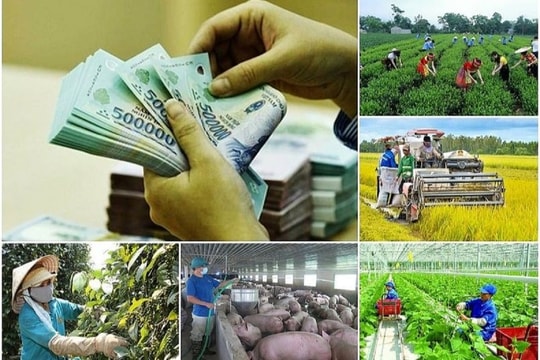 Tỷ lệ giải ngân vốn thực hiện chương trình MTQG đạt 68,7% kế hoạch