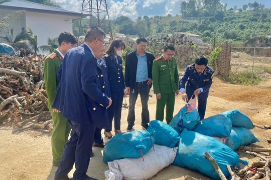 Phạt, tiêu huỷ nửa tấn thịt bò bốc mùi ở Sơn La